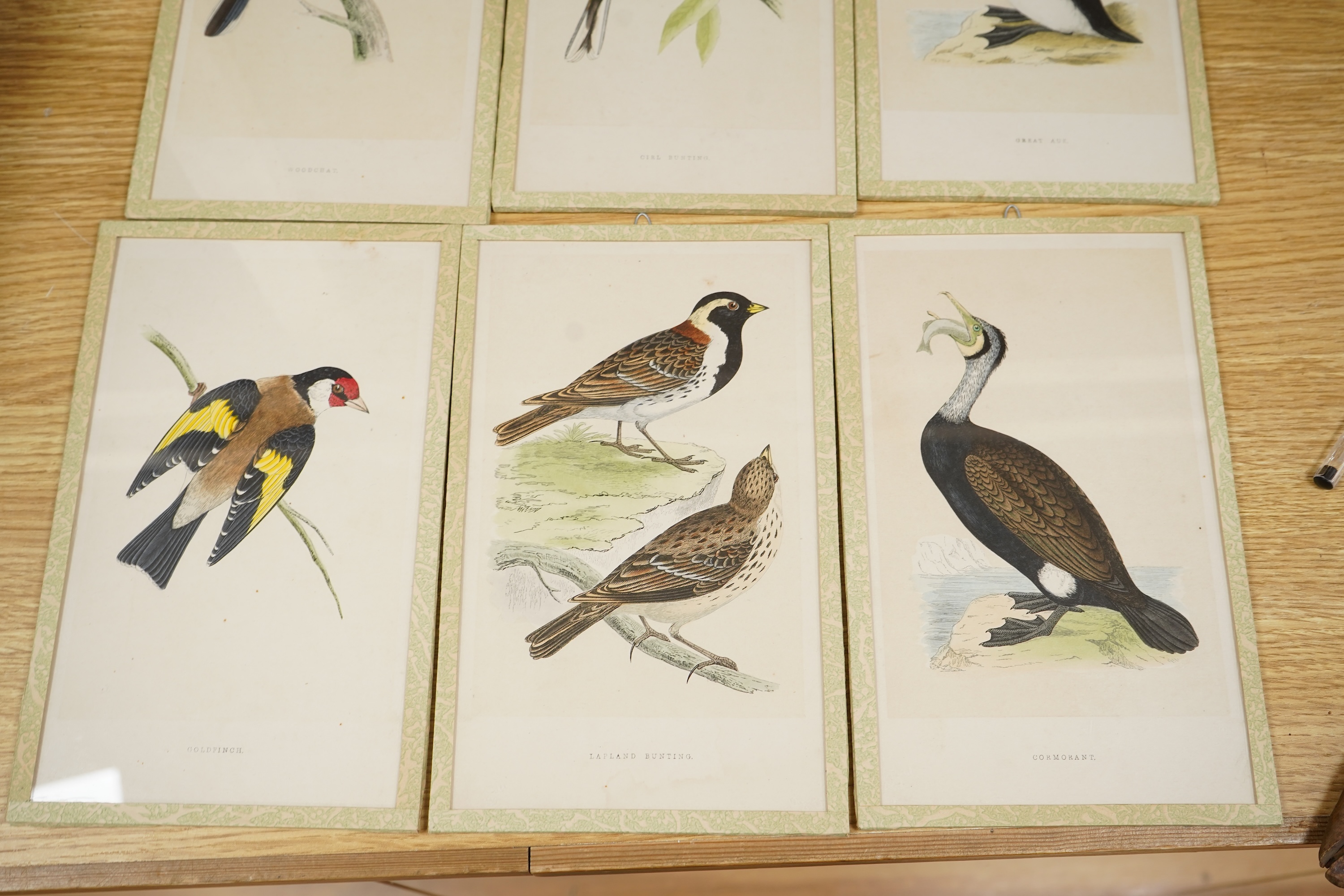 A group of nine colour lithographs, birds to include ‘Woodchat’, ‘Goldfinch’ and ‘Cormorant’, 16 x 25cm